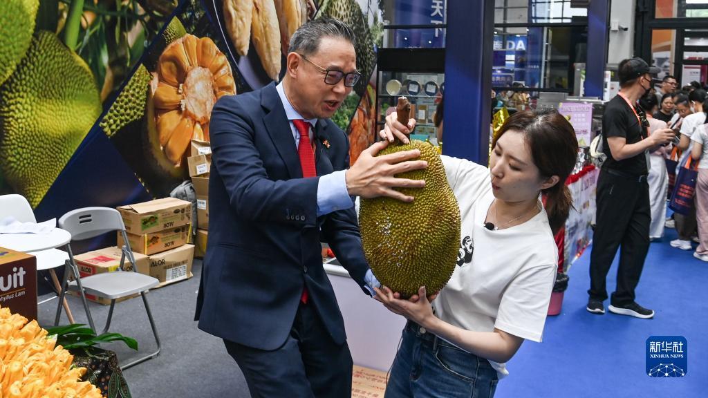 捕鱼游戏电脑版